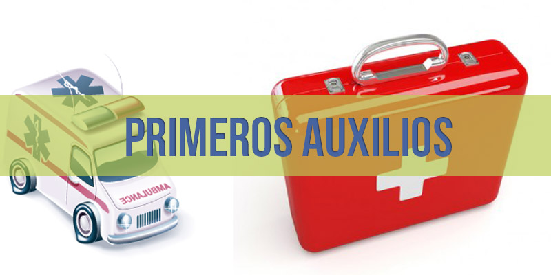 PRIMEROS AUXILIOS. 2 HORAS